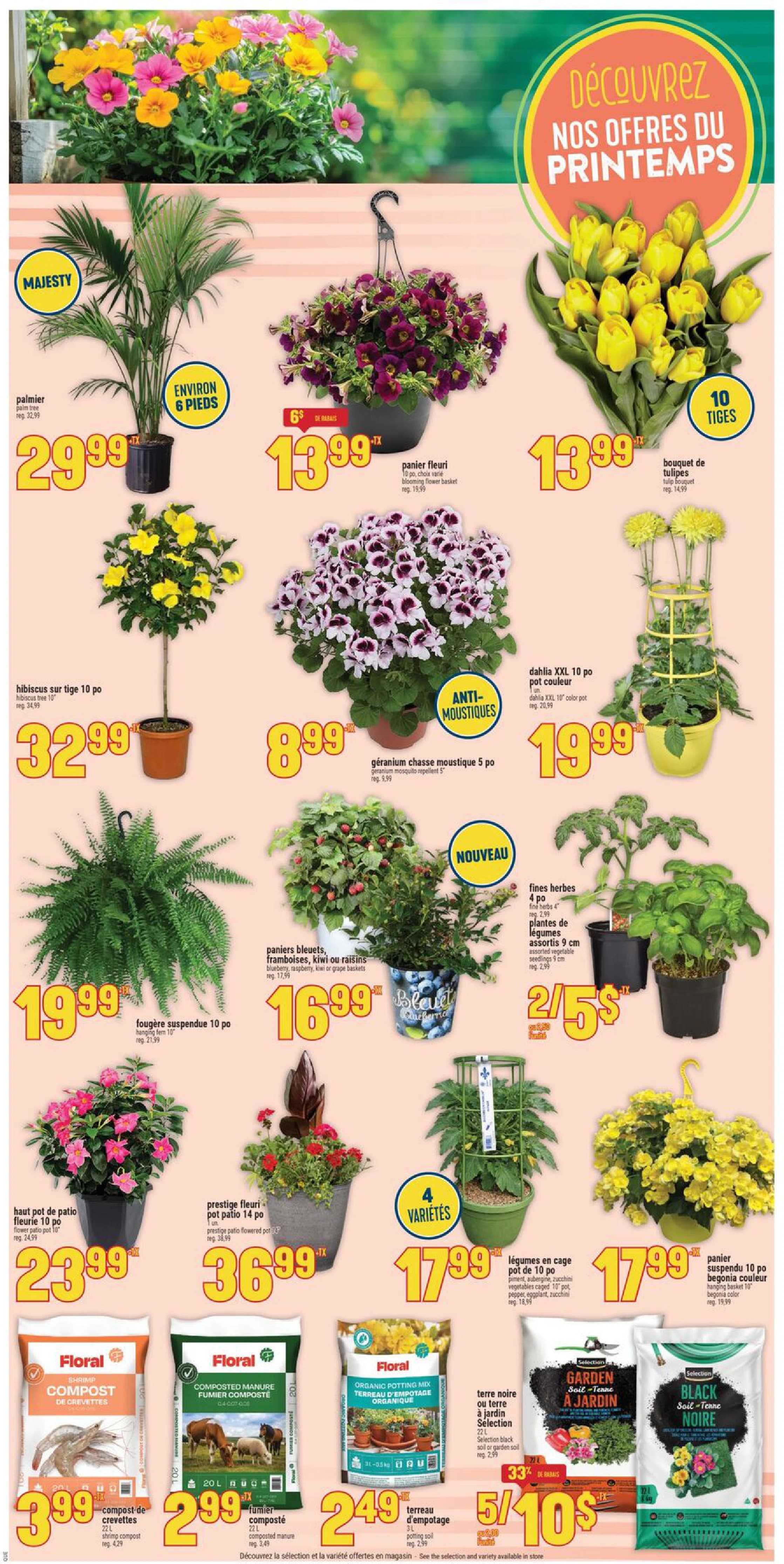 Flyer page 8
