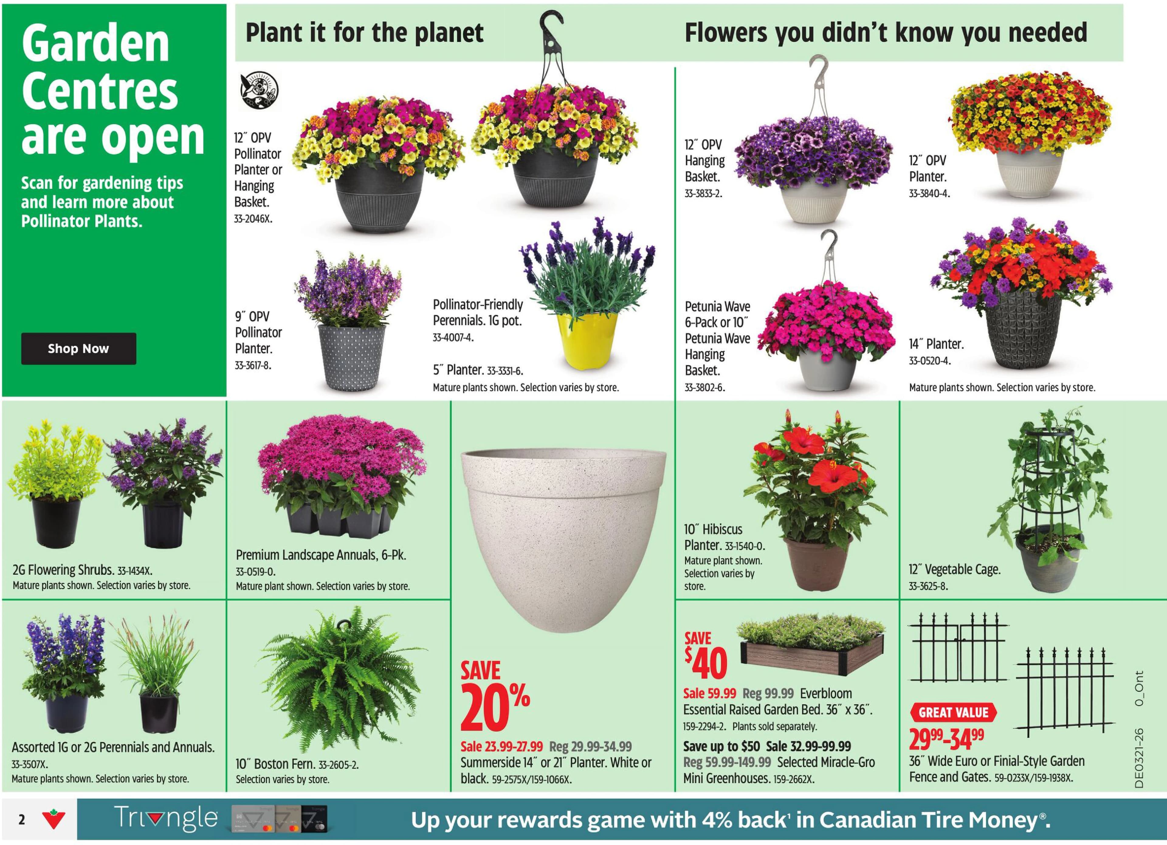 Flyer page 5