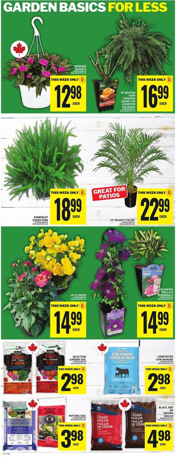 Flyer page 14