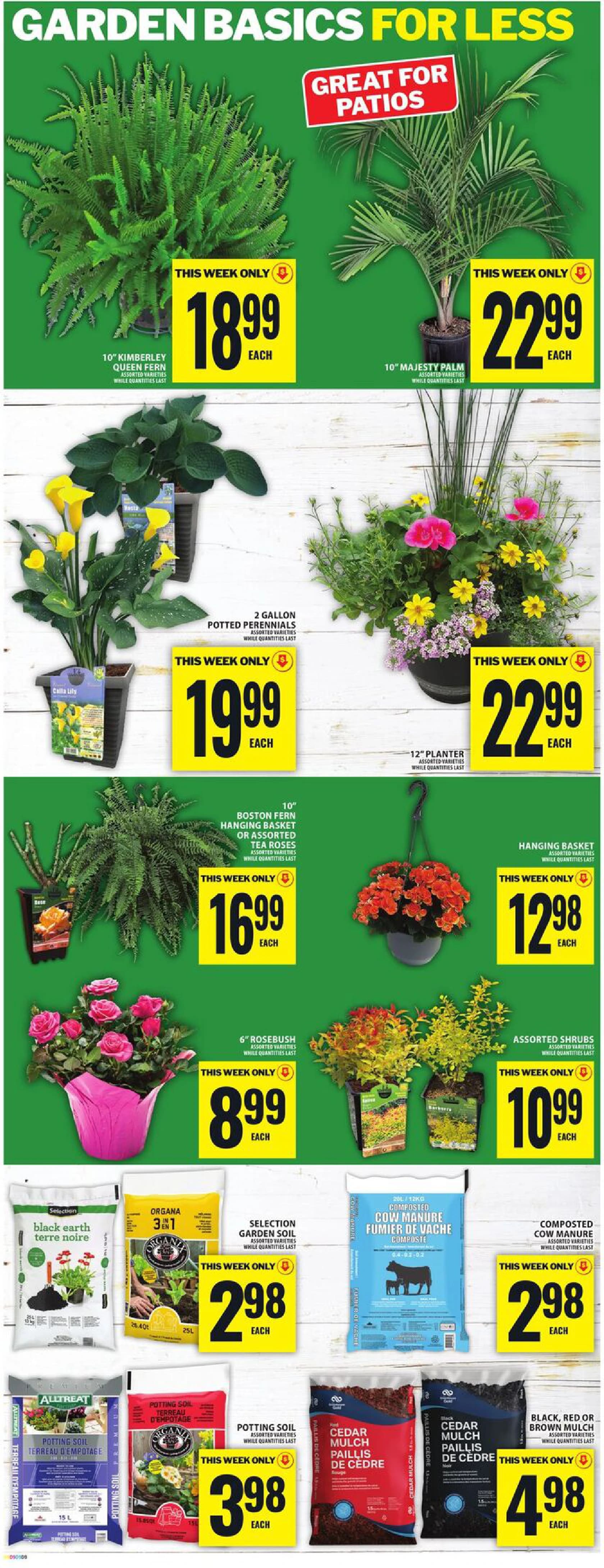 Flyer page 15