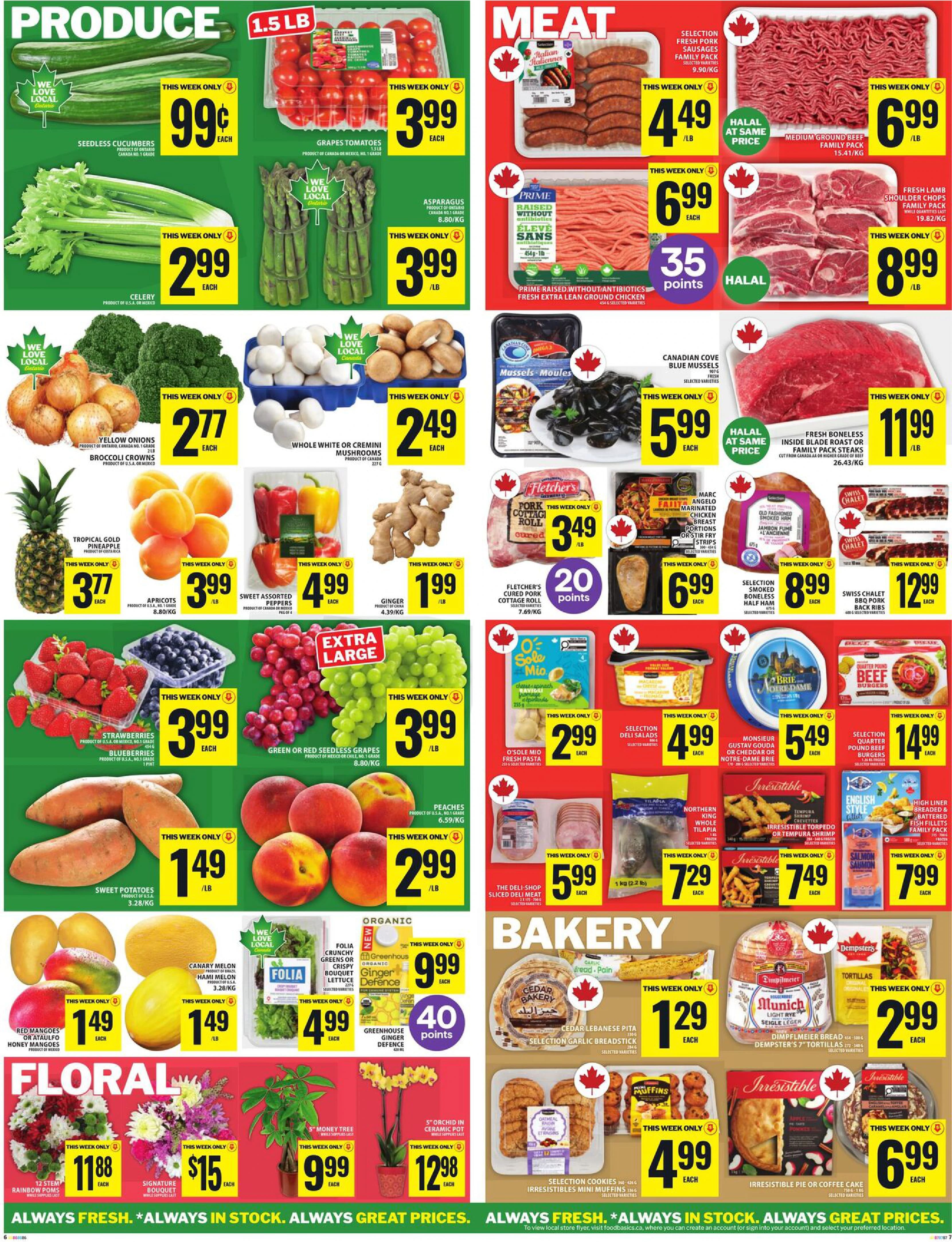 Flyer page 7