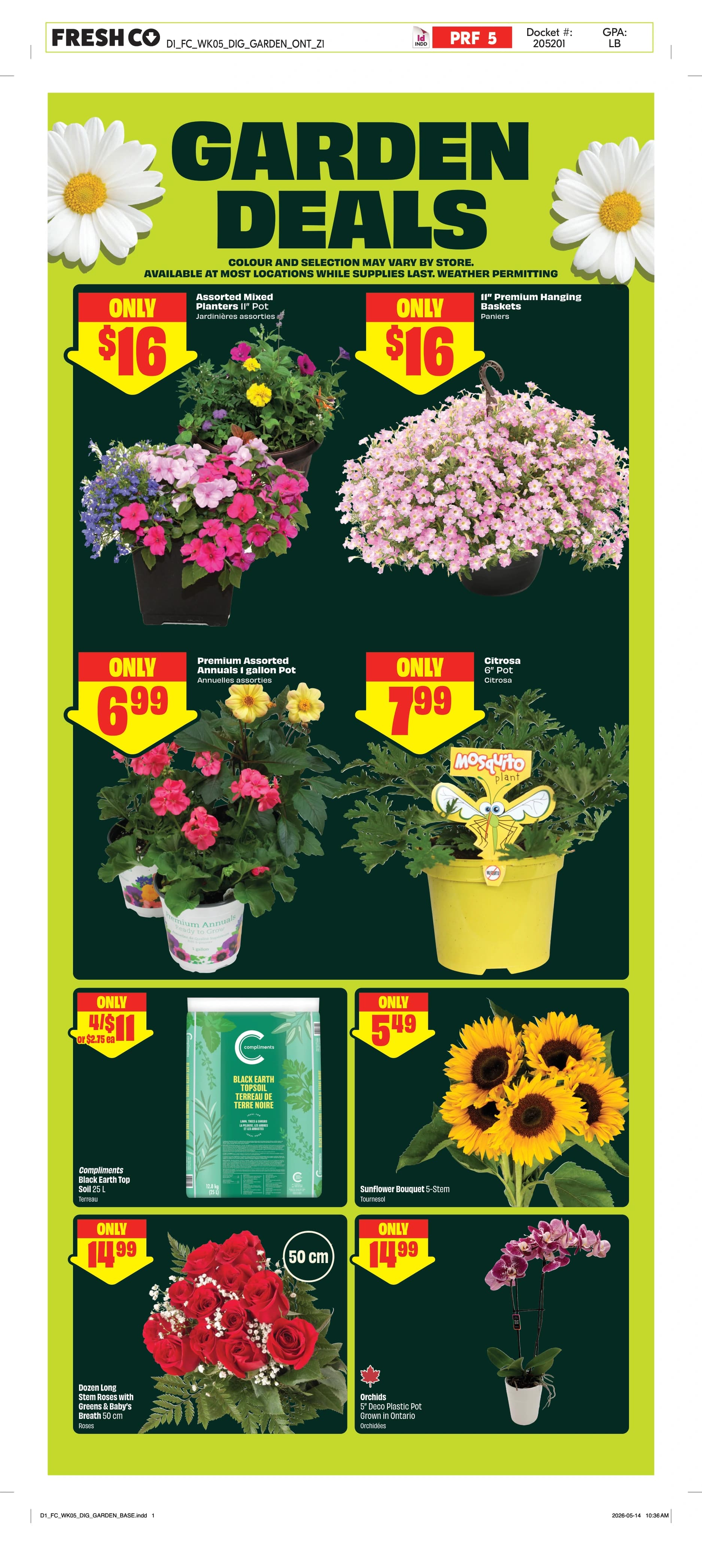 Flyer page 5