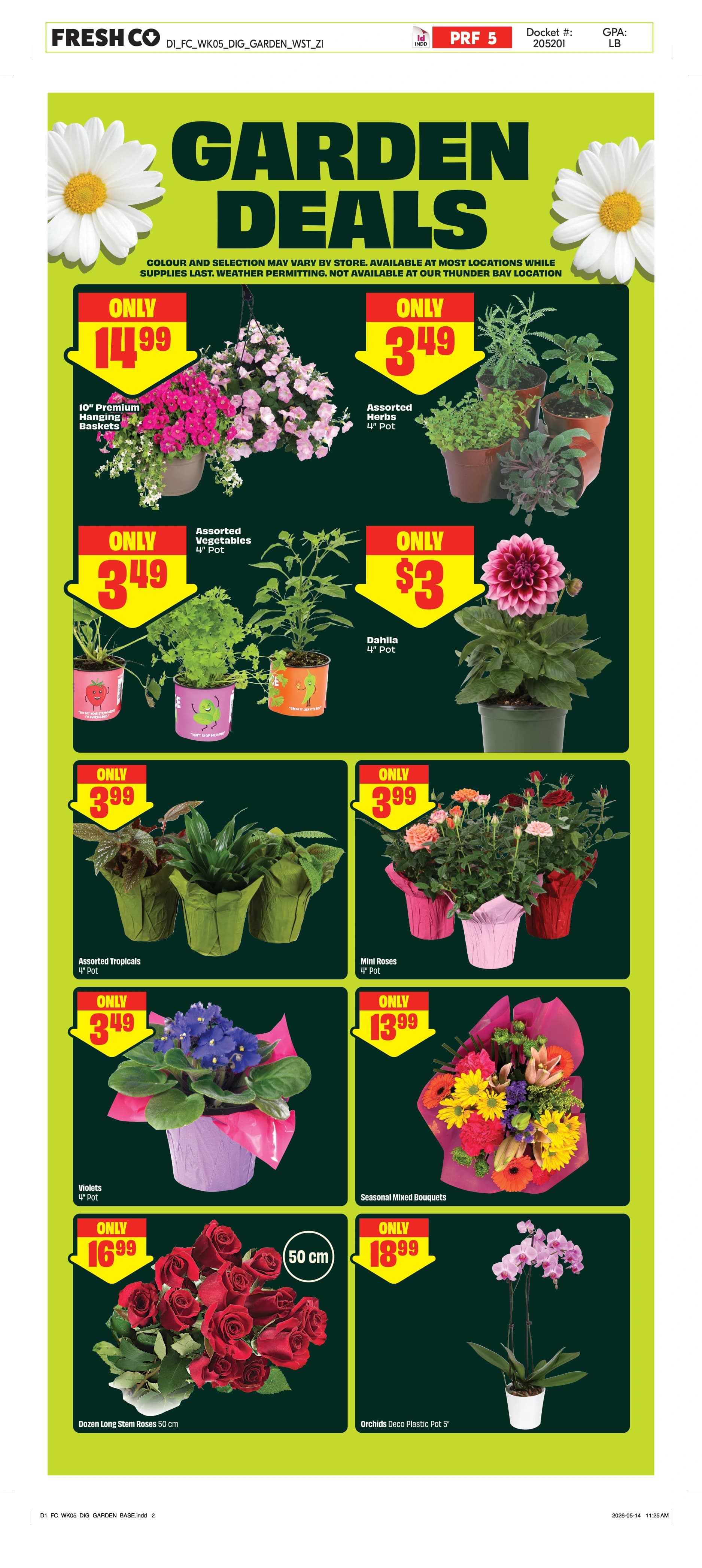 Flyer page 5
