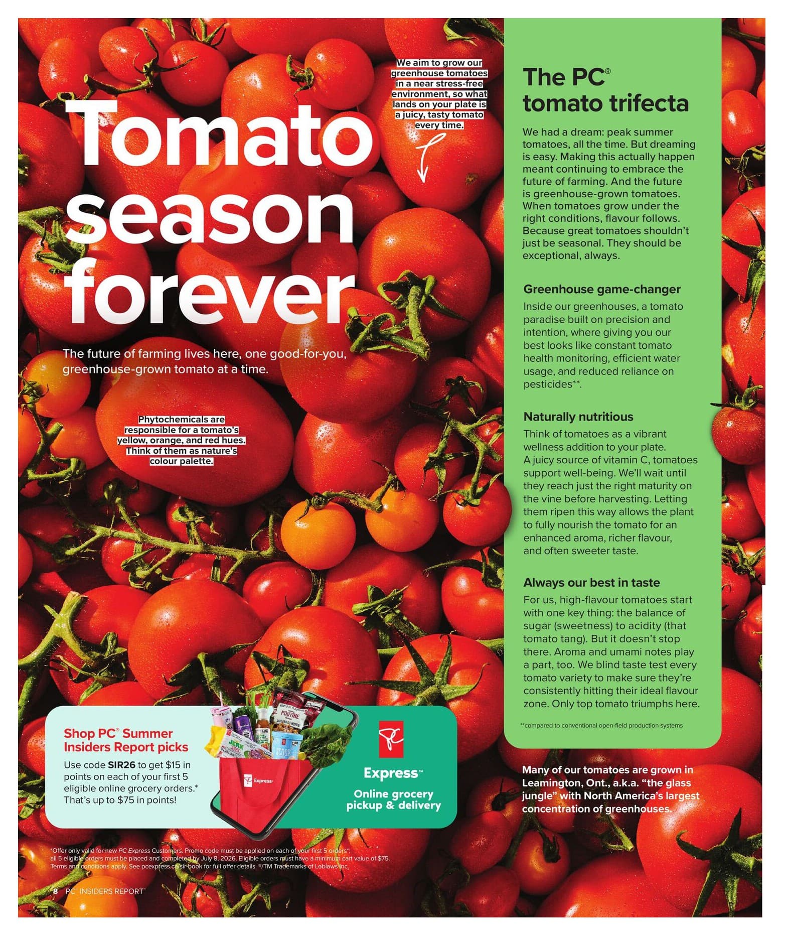 Flyer page 8