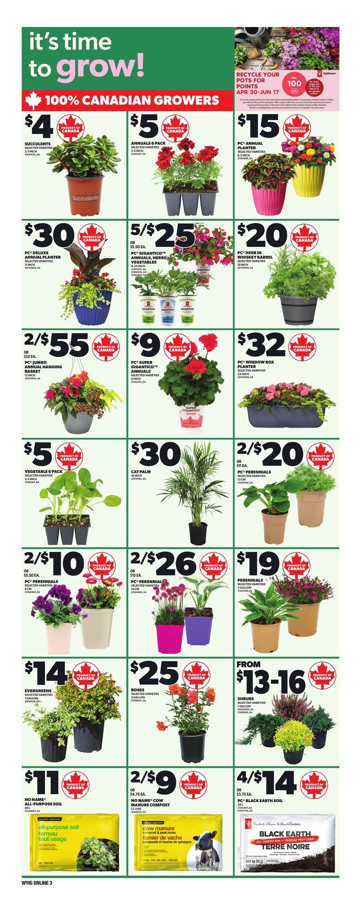 Flyer page 9