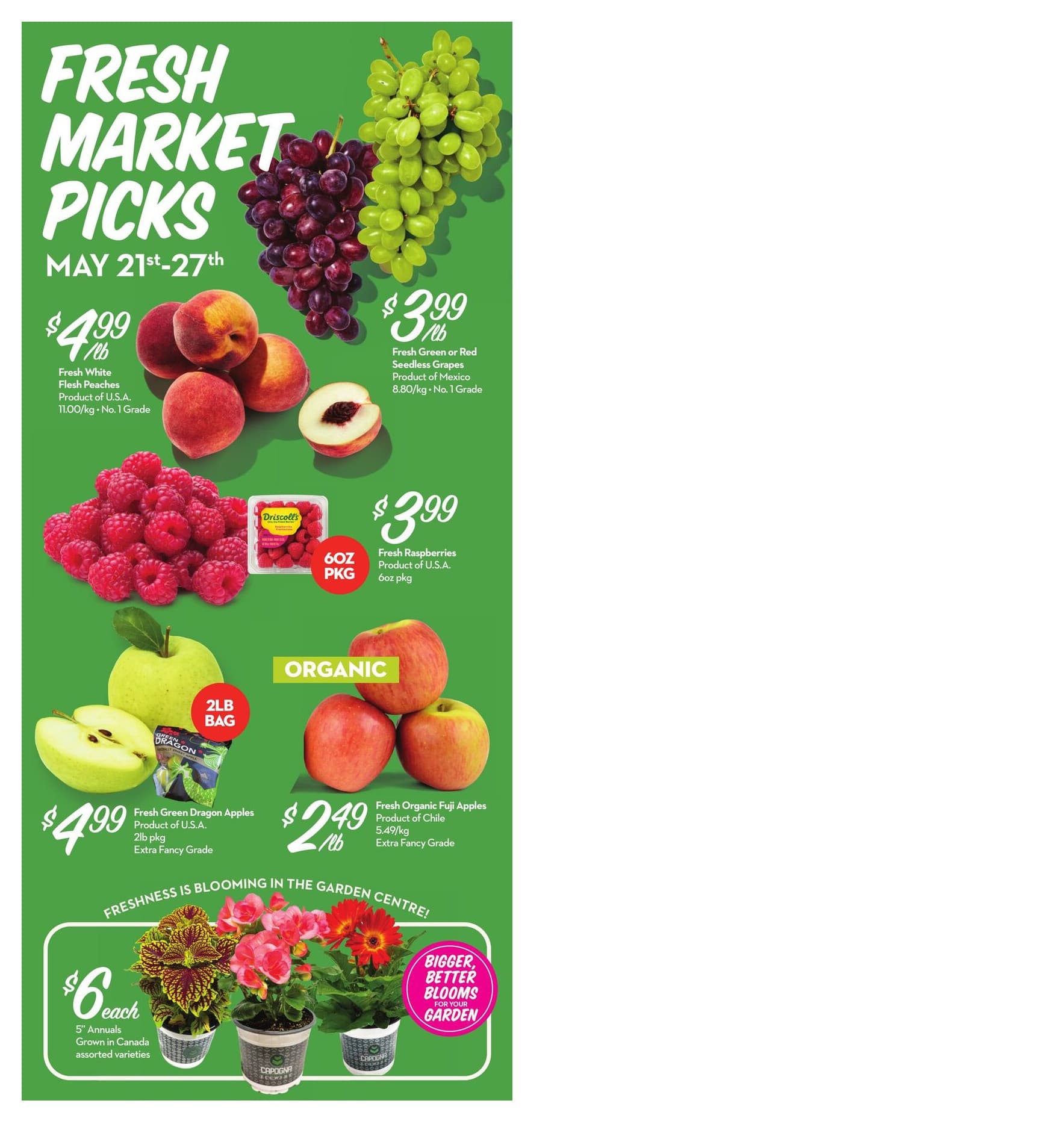 Flyer page 2
