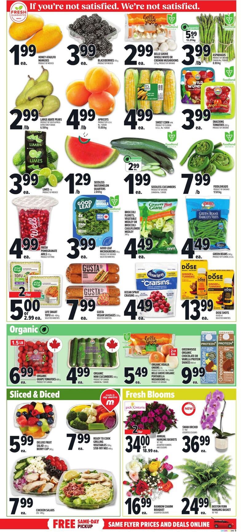 Flyer page 11