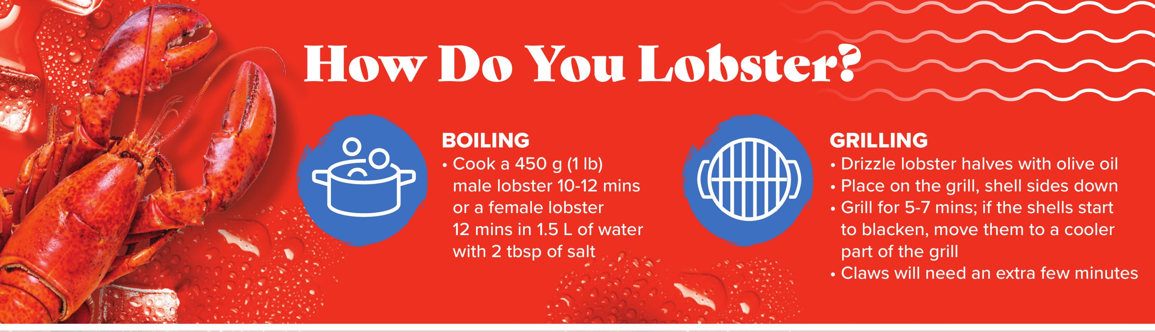 Flyer page 14