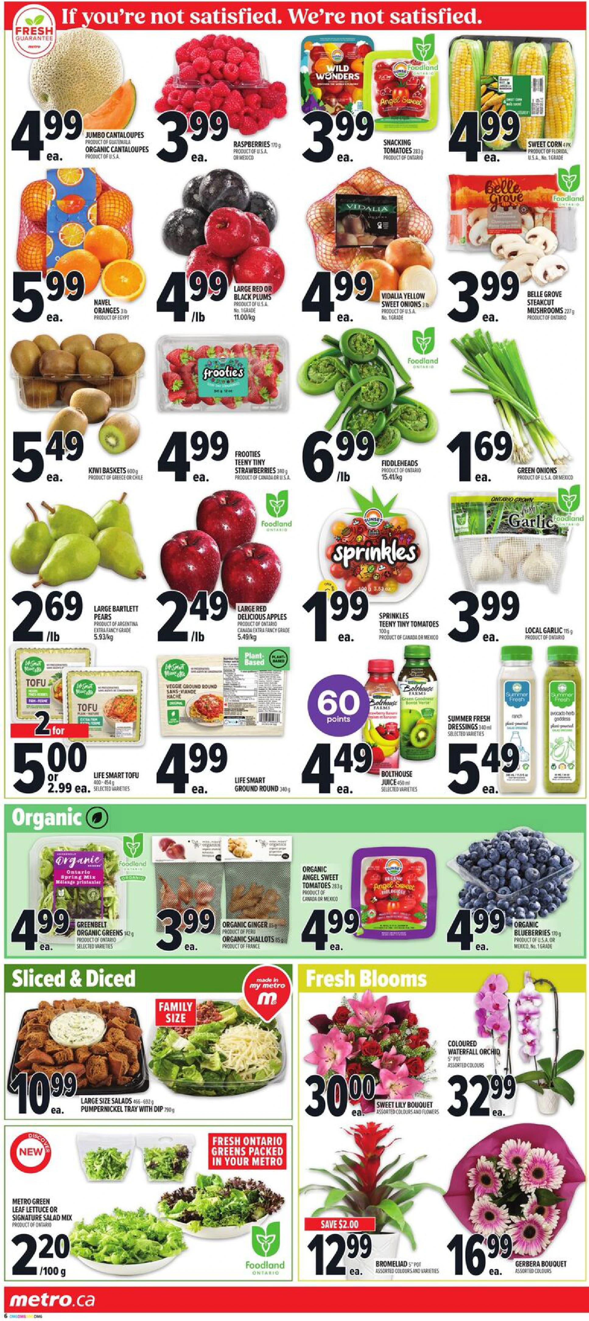 Flyer page 10