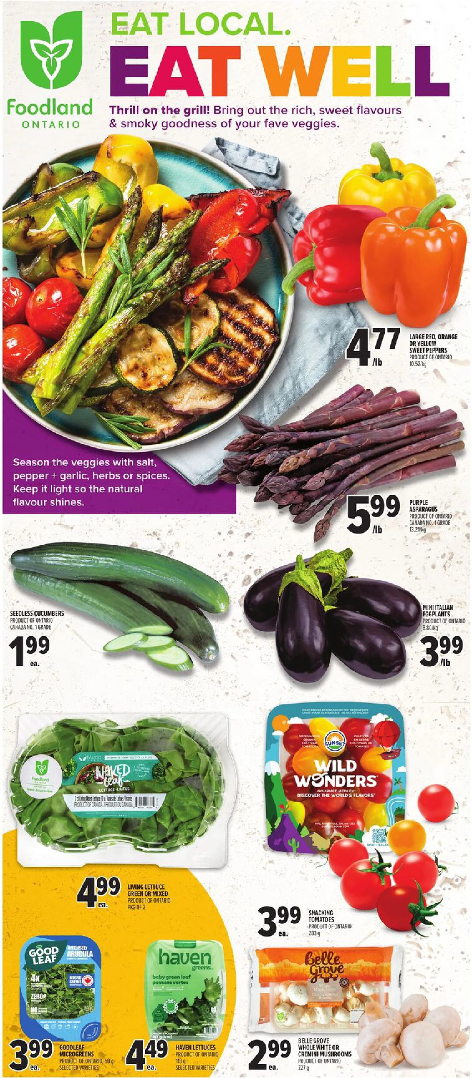 Flyer page 11