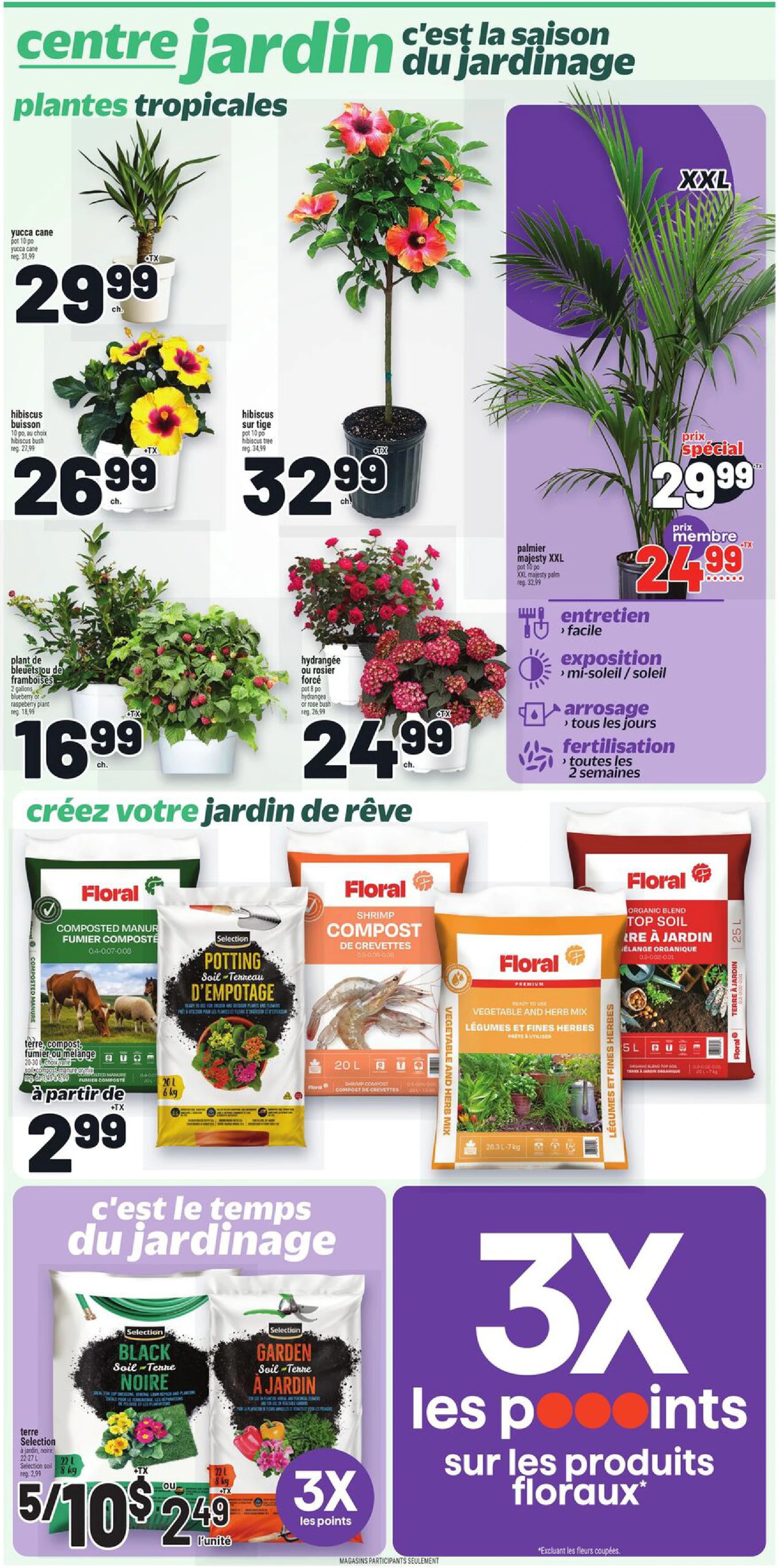 Flyer page 11