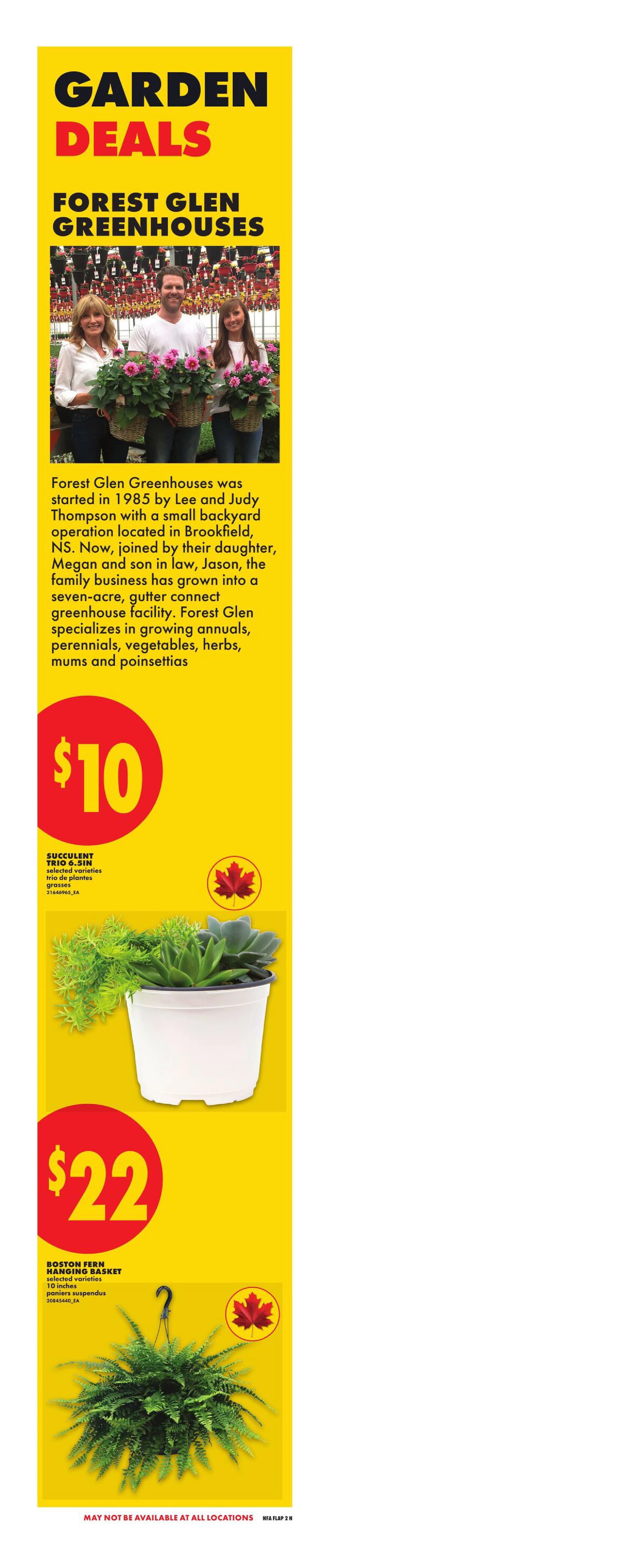 Flyer page 3