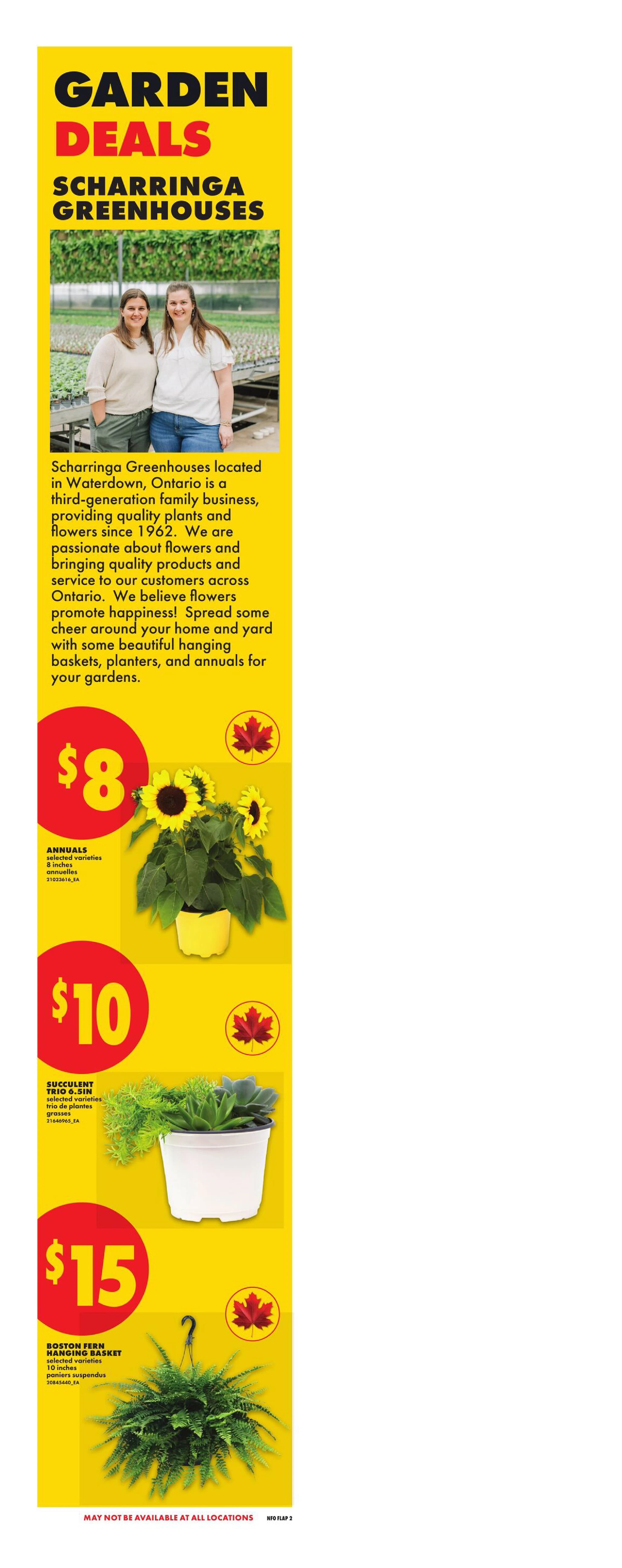 Flyer page 3