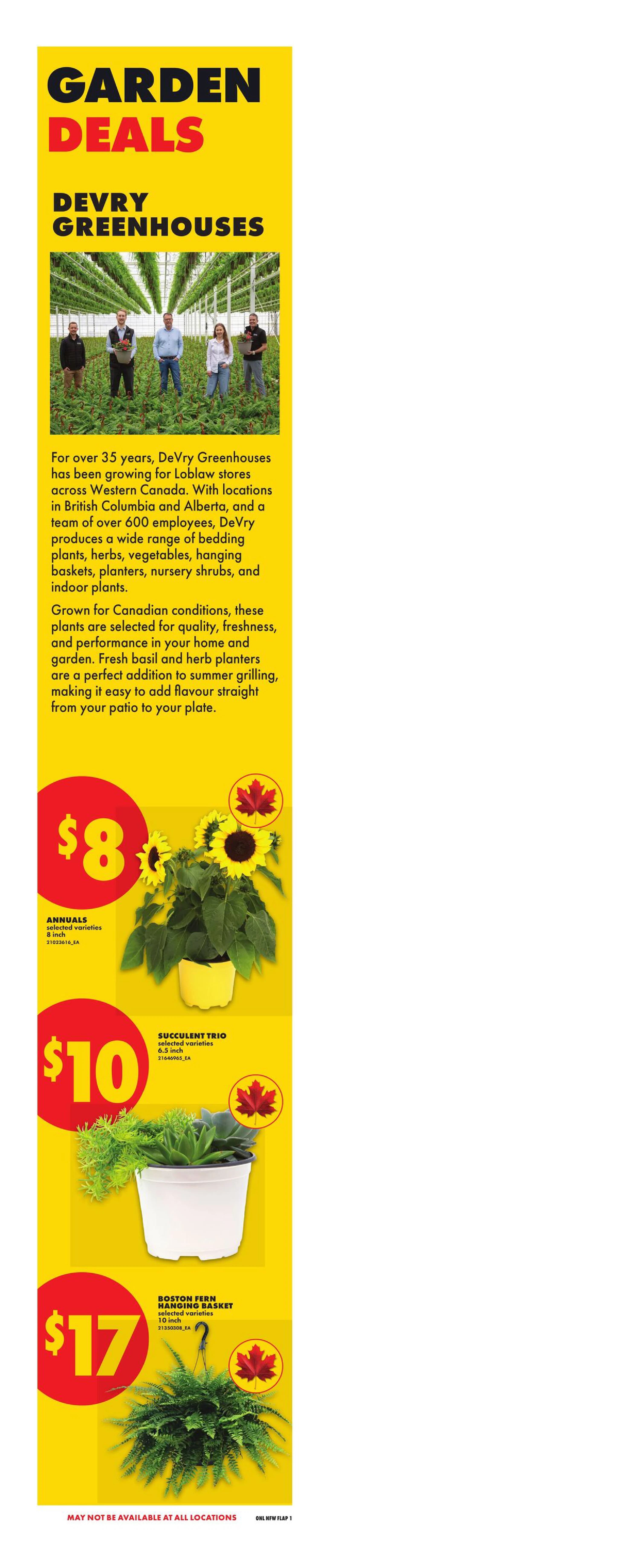 Flyer page 4