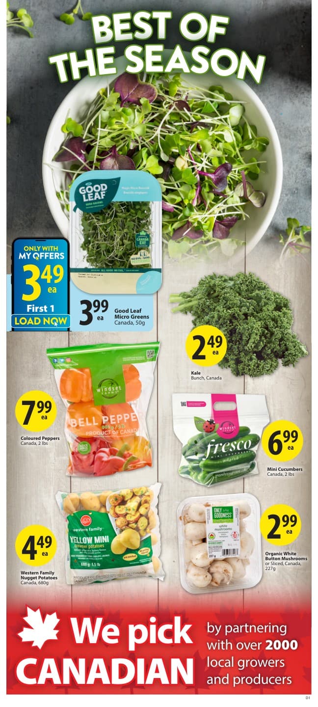 Flyer page 3