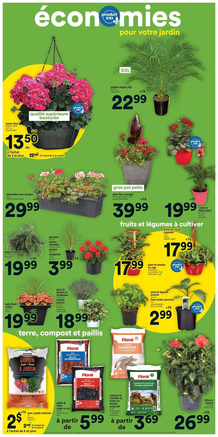 Flyer page 12