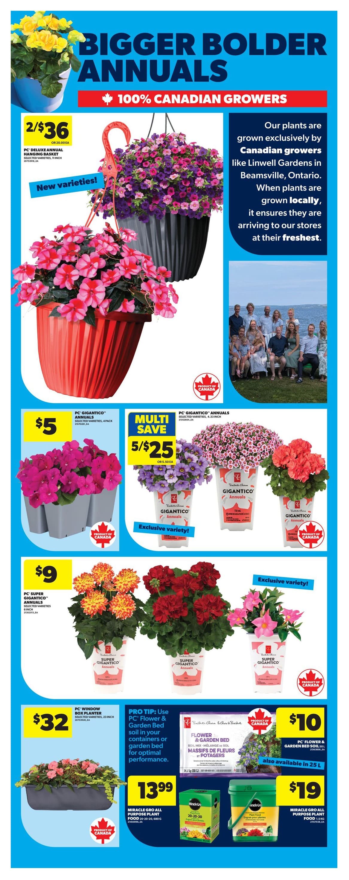 Flyer page 46