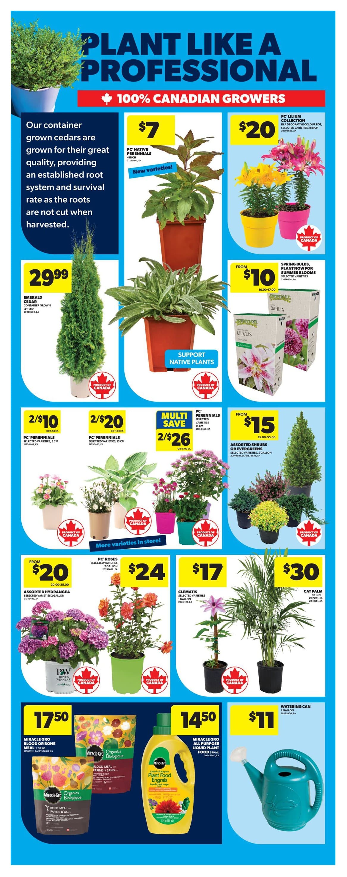 Flyer page 50