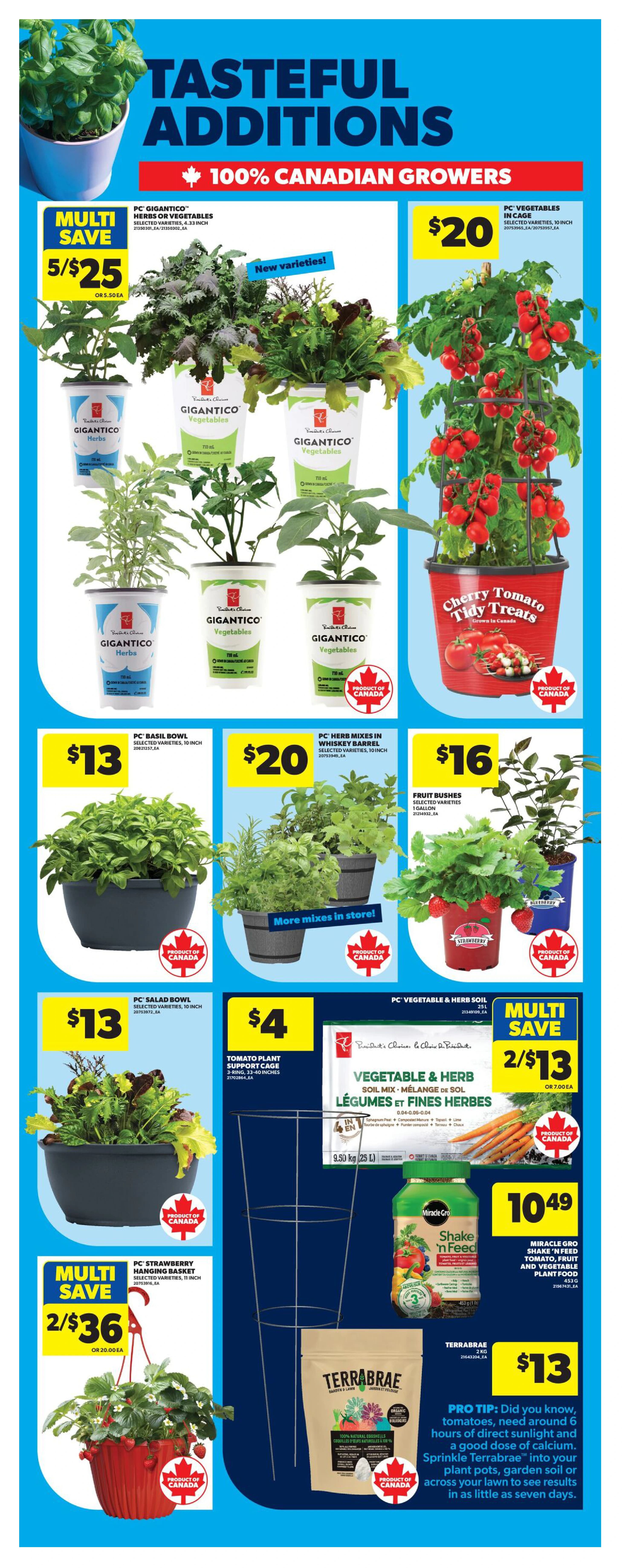 Flyer page 49