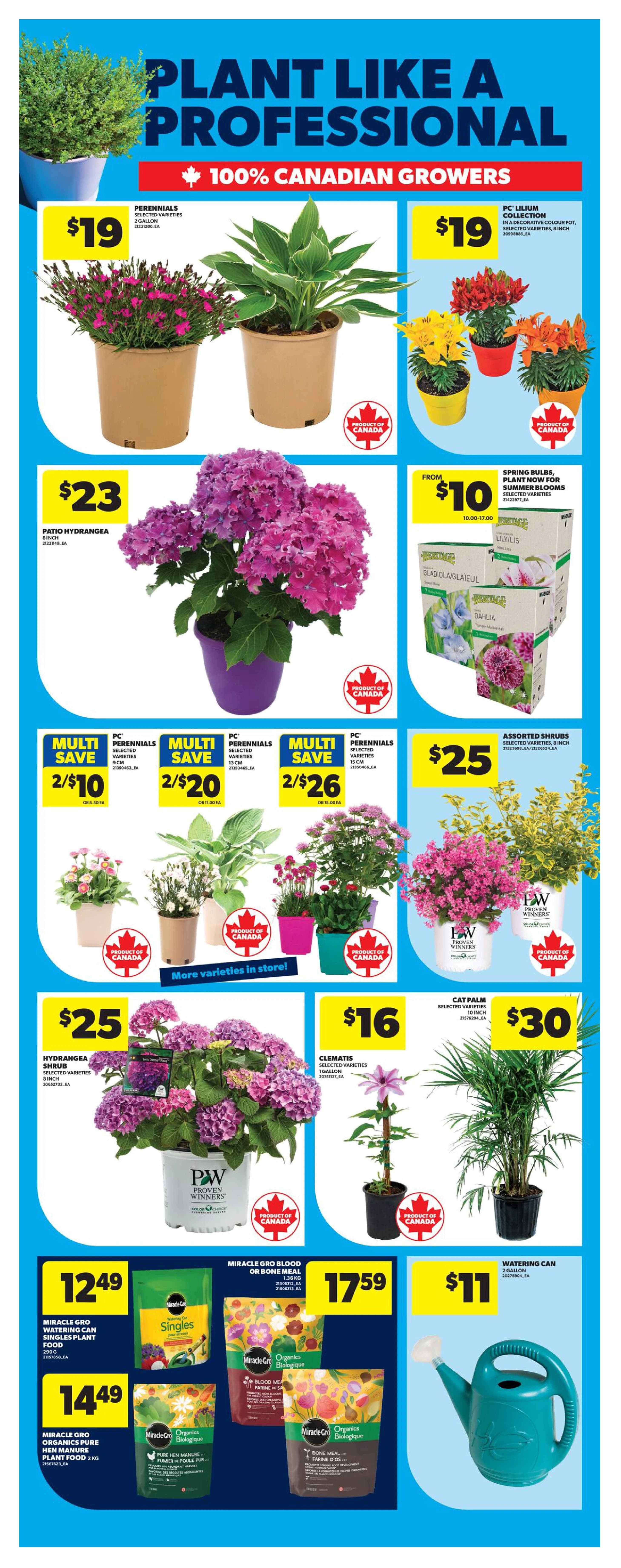 Flyer page 51