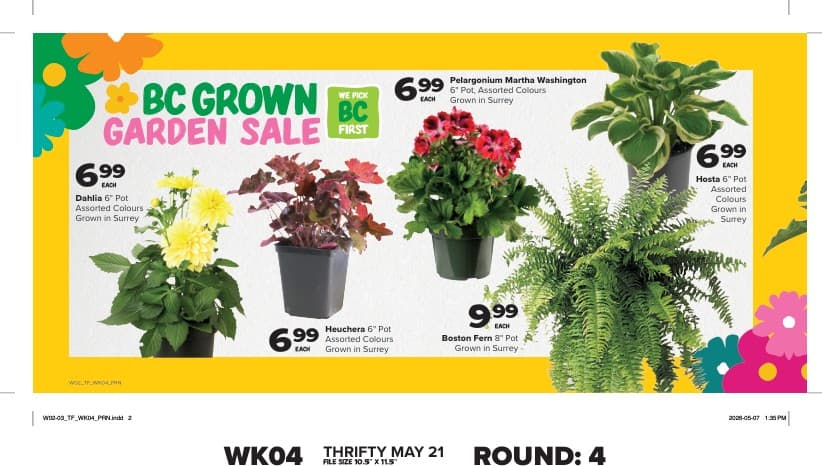 Flyer page 10