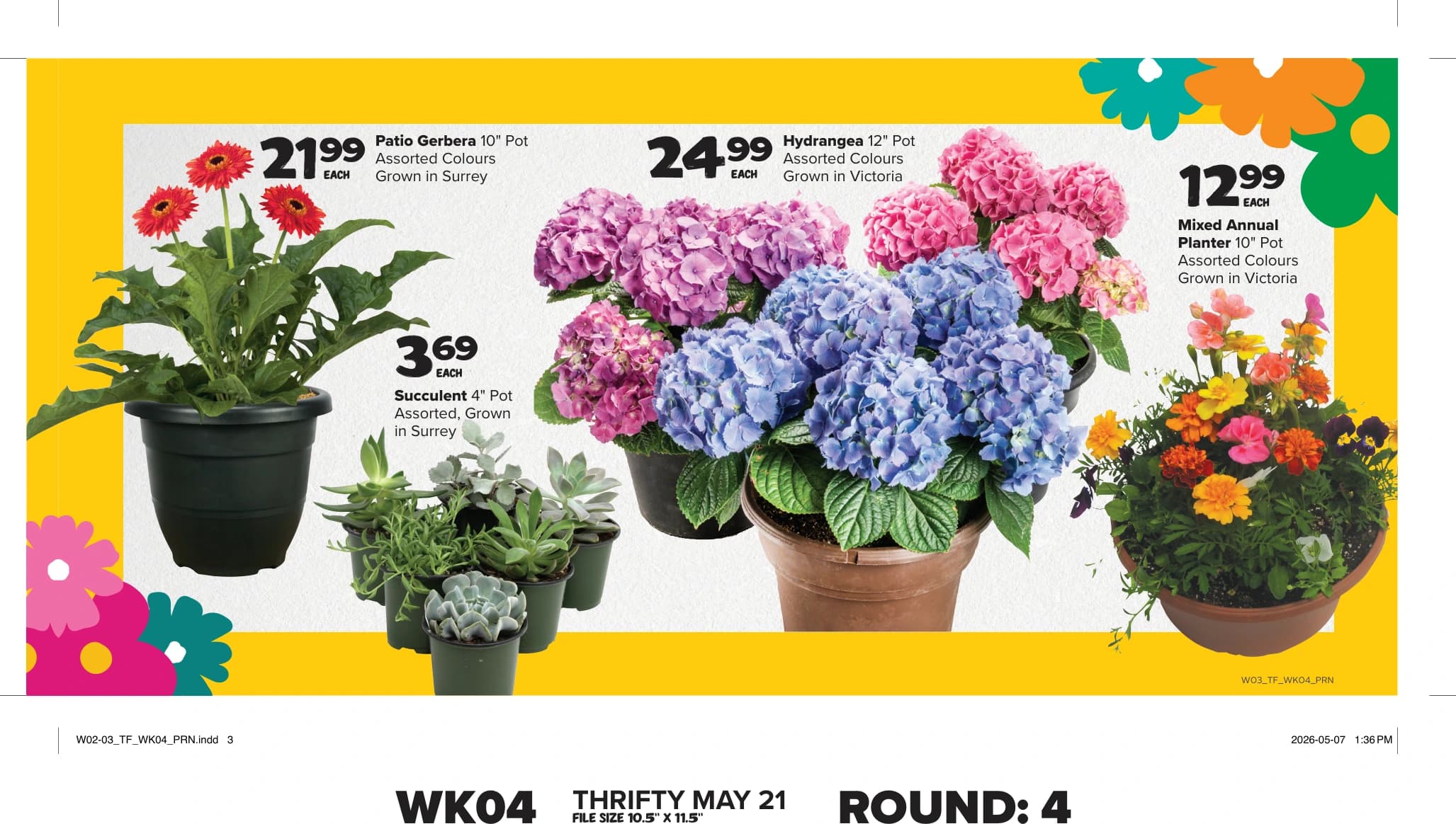 Flyer page 11