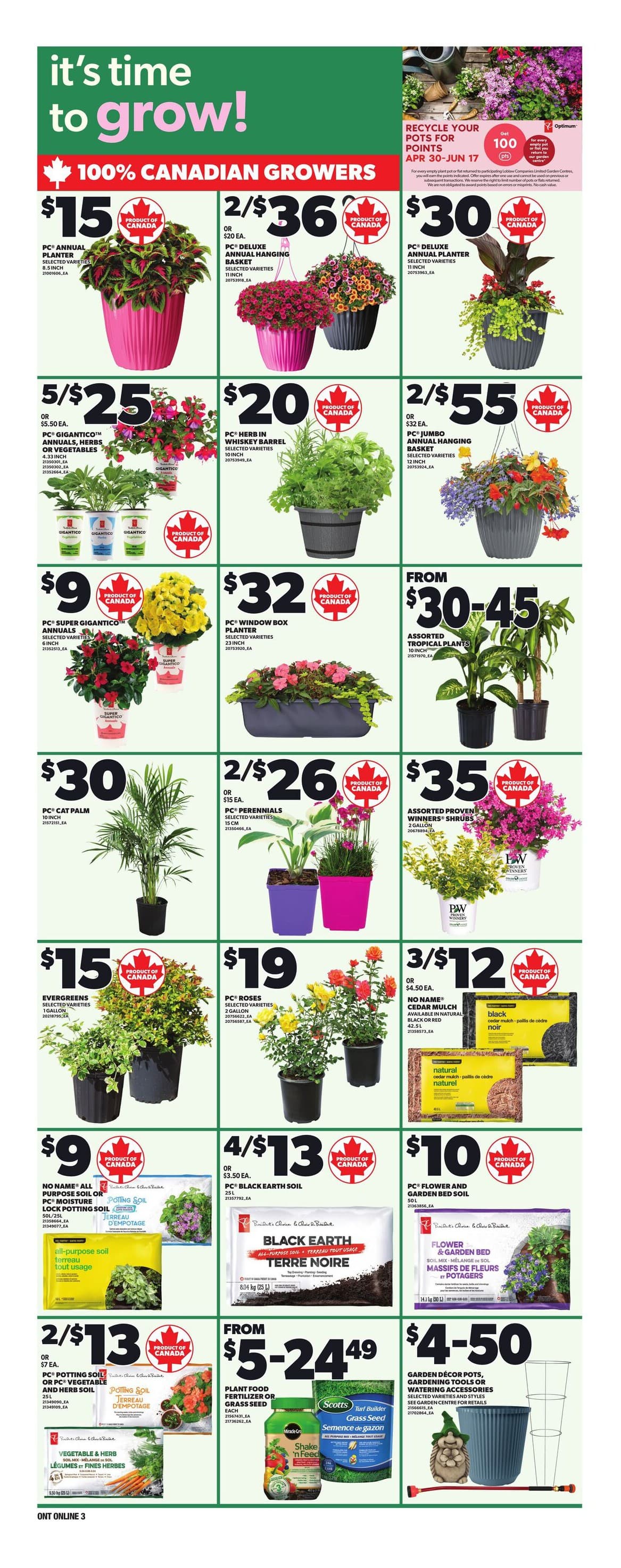 Flyer page 11